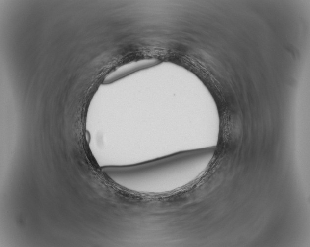 X0000113031345200909241405