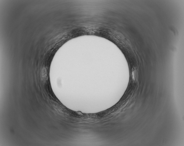 X0000113031347200909241405