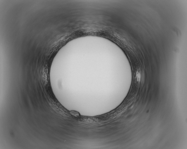 X0000113031348200909241405