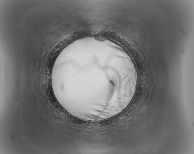 X0000113031349200909241405