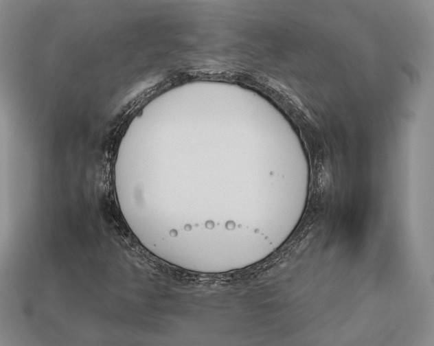 X0000113031350200909241405