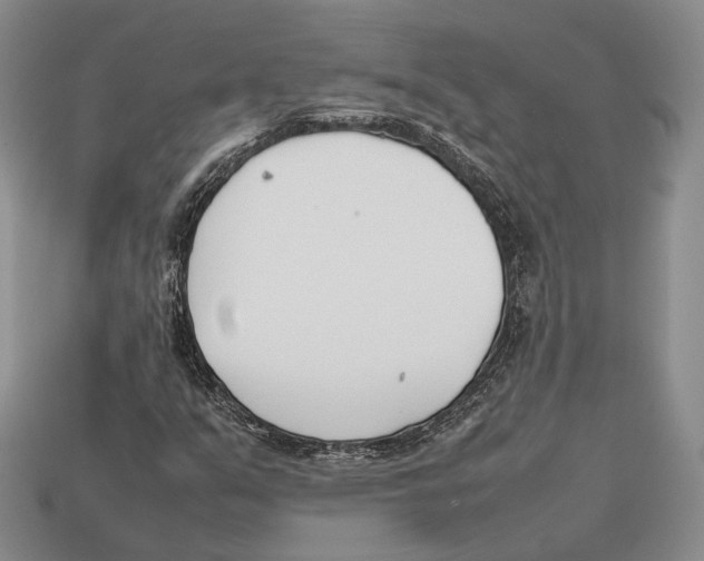 X0000113031351200909241405