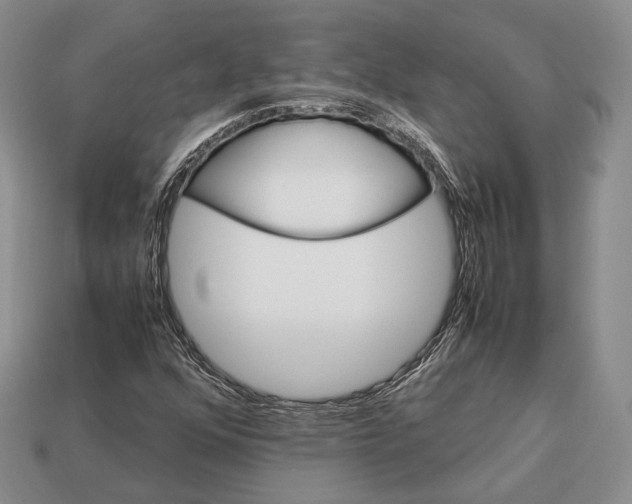 X0000113031352200909241405