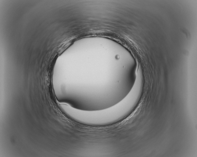 X0000113031353200909241405