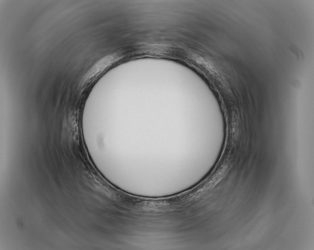 X0000113031354200909241405