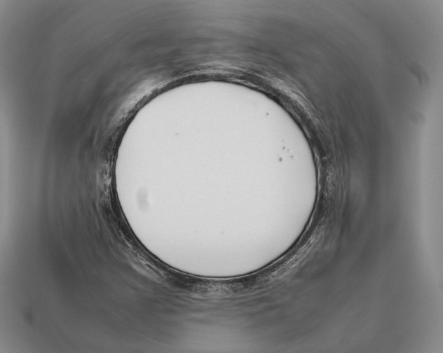 X0000113031355200909241405