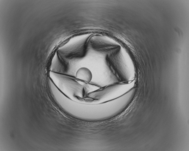 X0000113031357200909241404