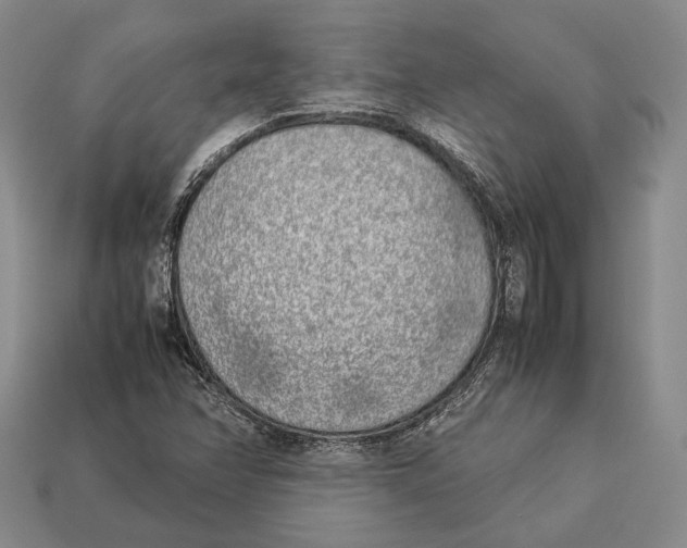 X0000113031358200909241404