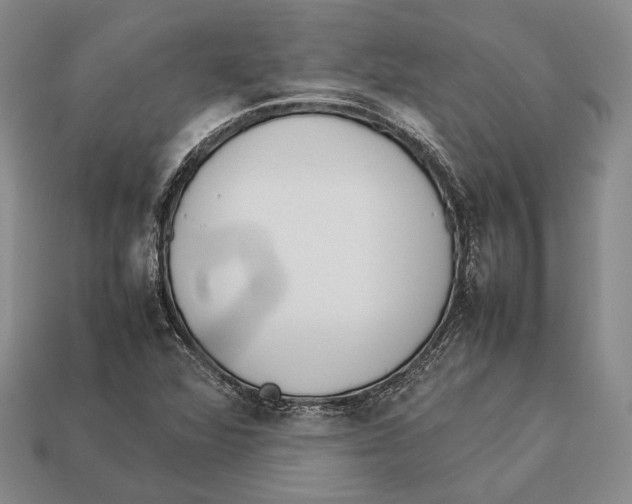 X0000113031360200909241404