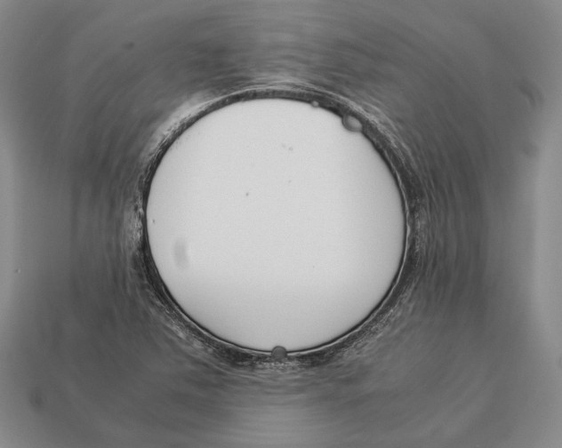 X0000113031363200909241404