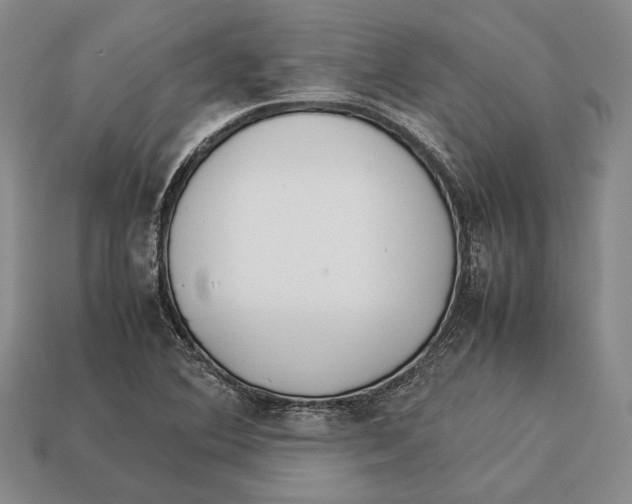 X0000113031364200909241404