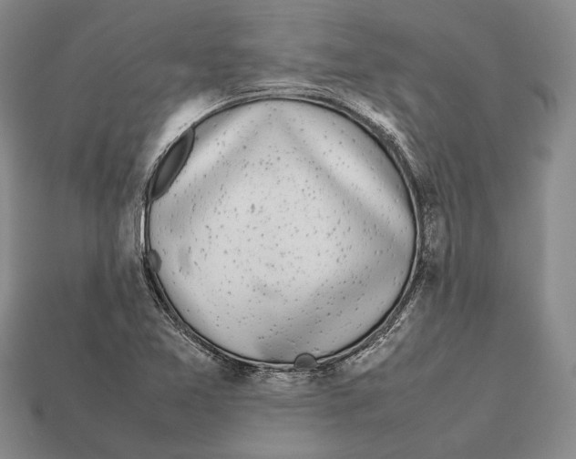 X0000113031365200909241404