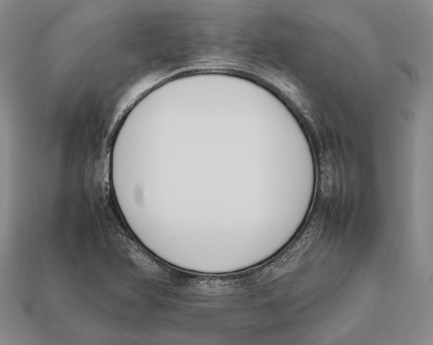 X0000113031366200909241404