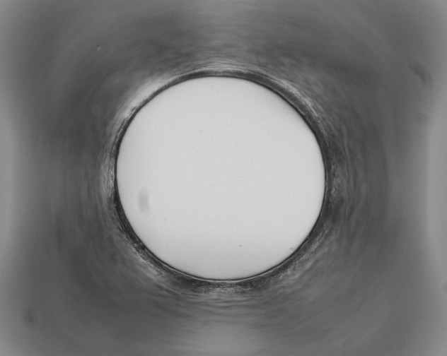 X0000113031367200909241404