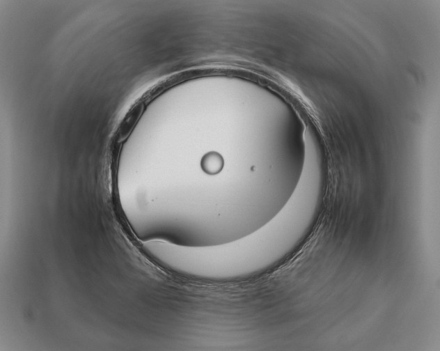 X0000113031368200909241404