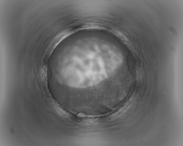 X0000113031369200909241404