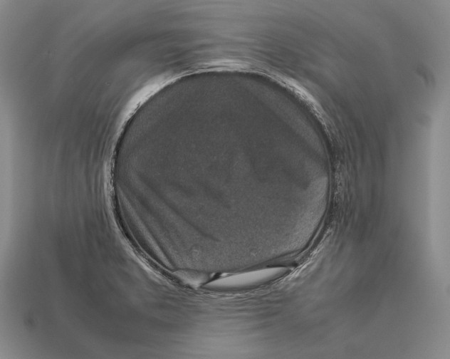 X0000113031373200909241404