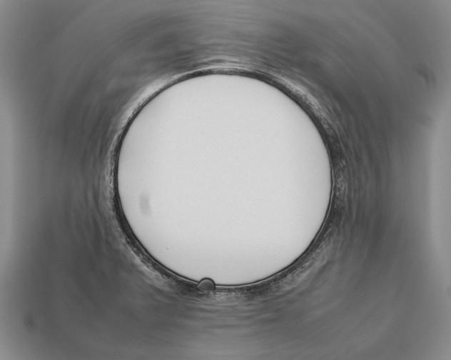 X0000113031375200909241404