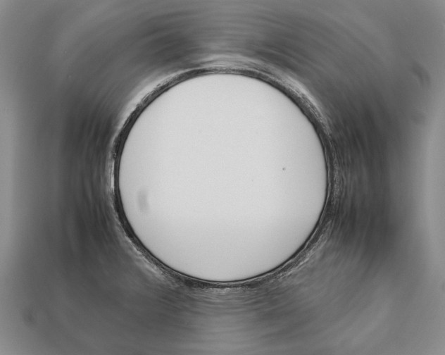 X0000113031376200909241404