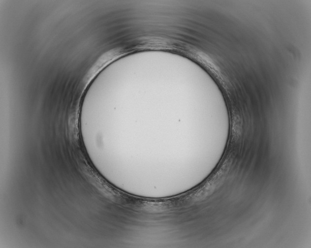 X0000113031378200909241404