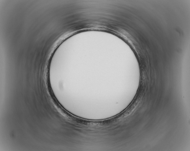 X0000113031379200909241404