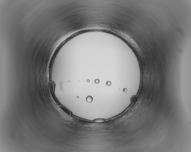 X0000113031380200909241404