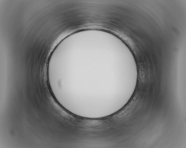 X0000113031382200909241404