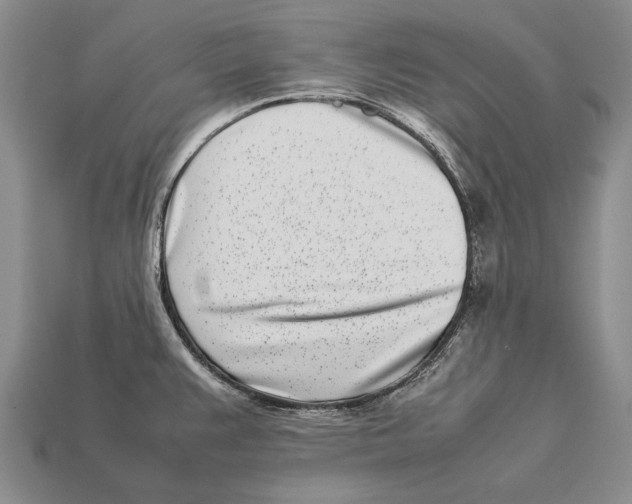 X0000113031383200909241404