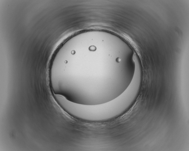 X0000113031384200909241404