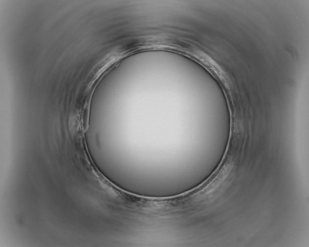 X0000113031385200909241404