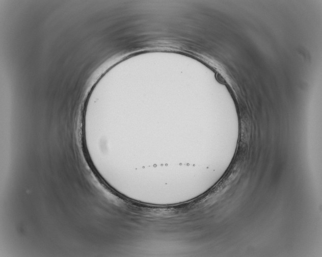 X0000113031387200909241404