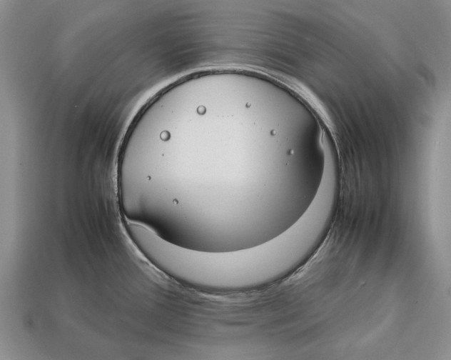 X0000113031388200909241404