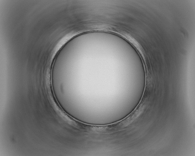 X0000113031389200909241404