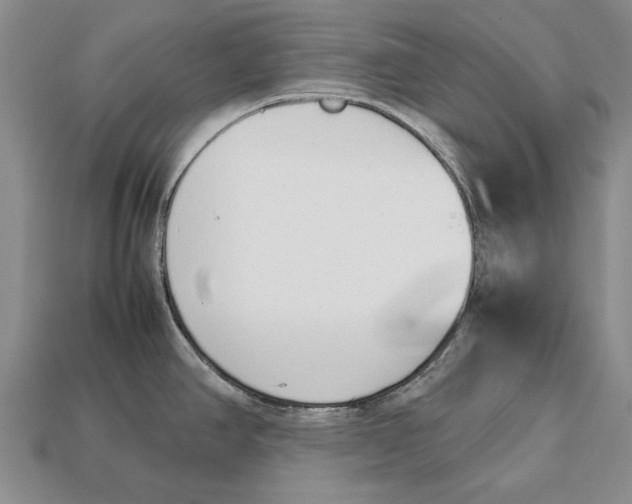 X0000113031390200909241404