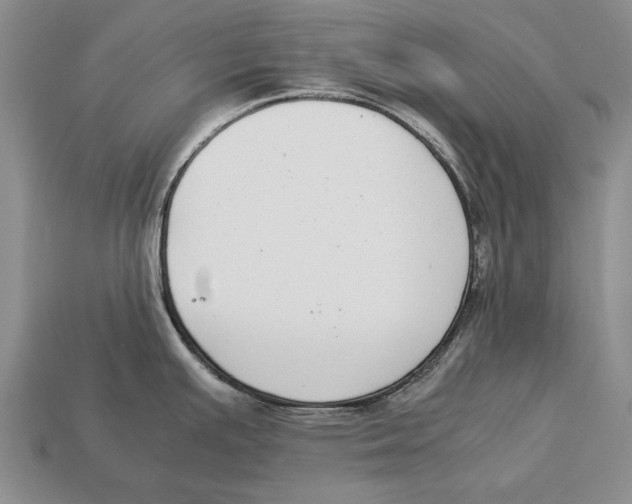 X0000113031391200909241404