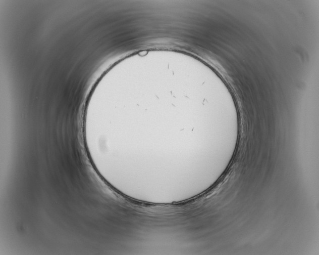 X0000113031392200909241404