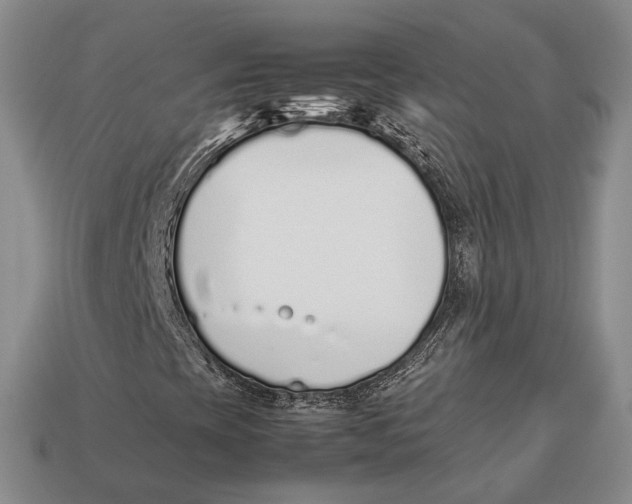 X0000113031393200909241403