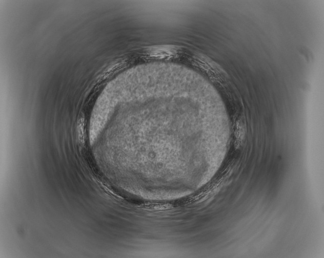 X0000113031394200909241403