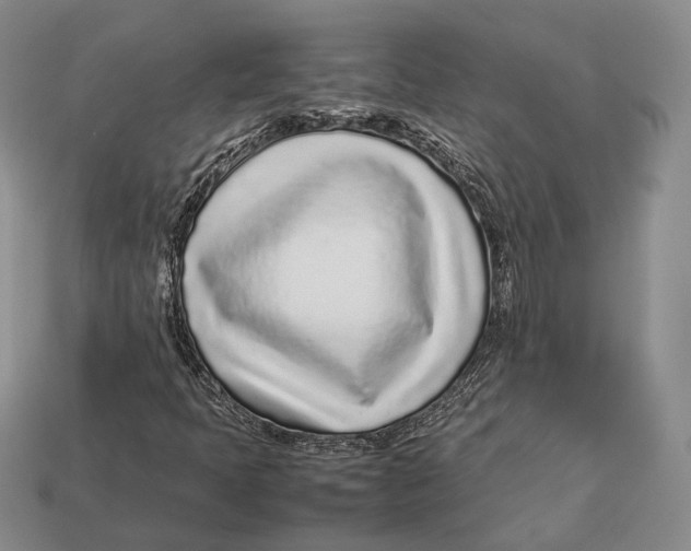 X0000113031397200909241403