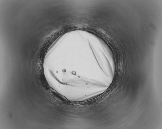 X0000113031398200909241403