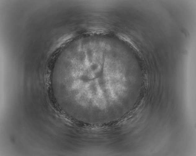 X0000113031399200909241403