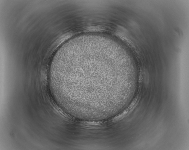 X0000113031401200909241403