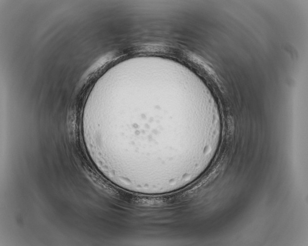 X0000113031403200909241403