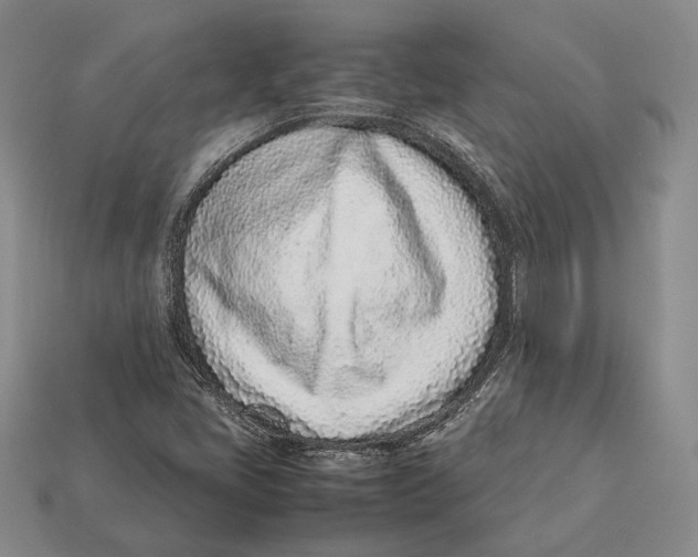 X0000113031405200909241403