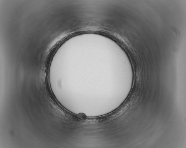 X0000113031406200909241403