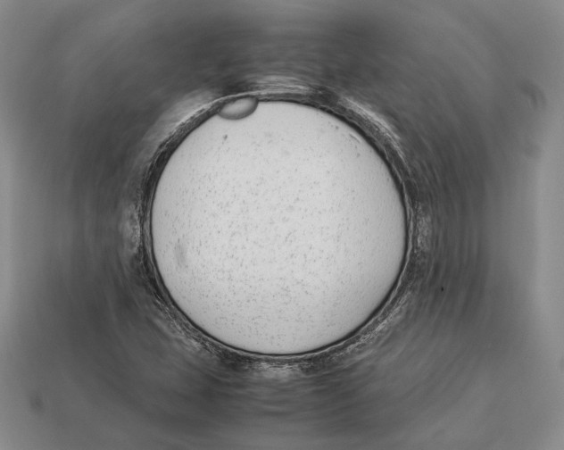 X0000113031407200909241404