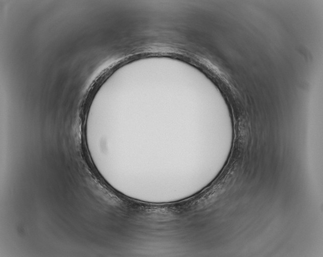 X0000113031408200909241404