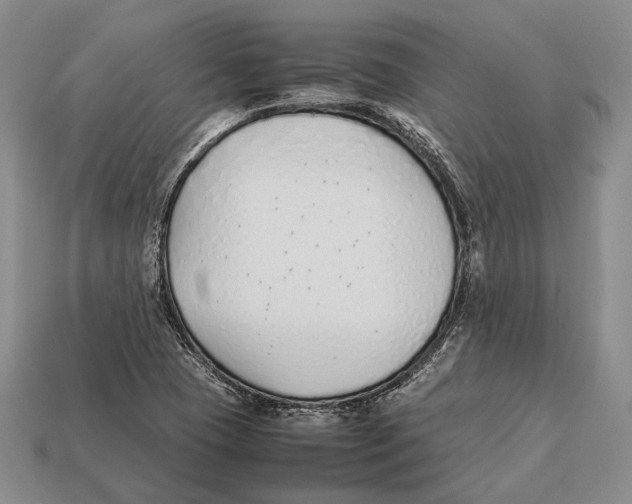 X0000113031409200909241404