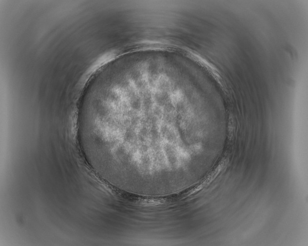 X0000113031411200909241404