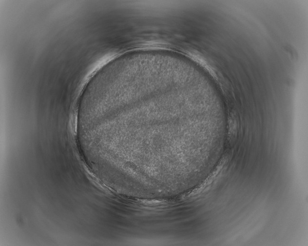 X0000113031413200909241404